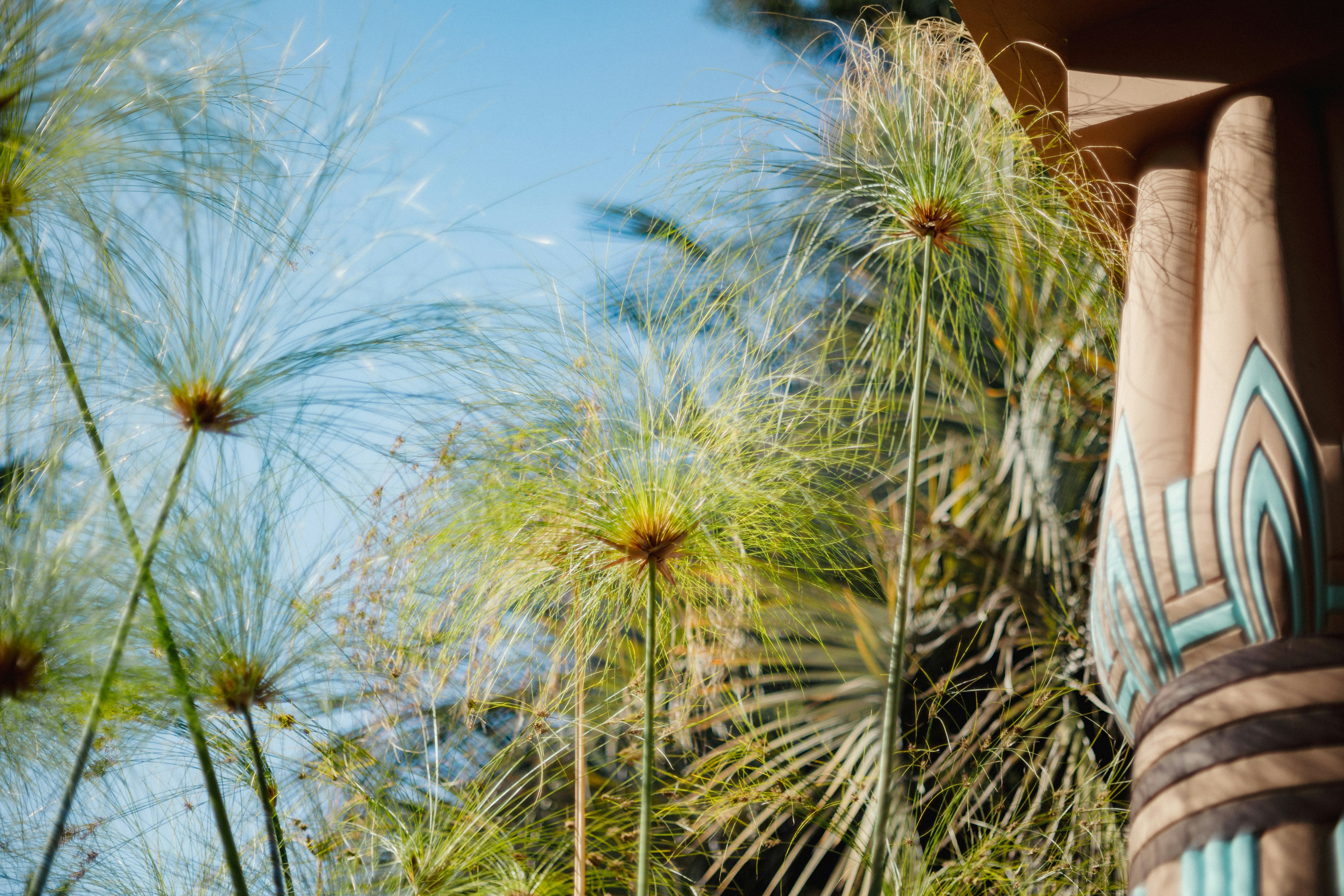 right-image-about-us